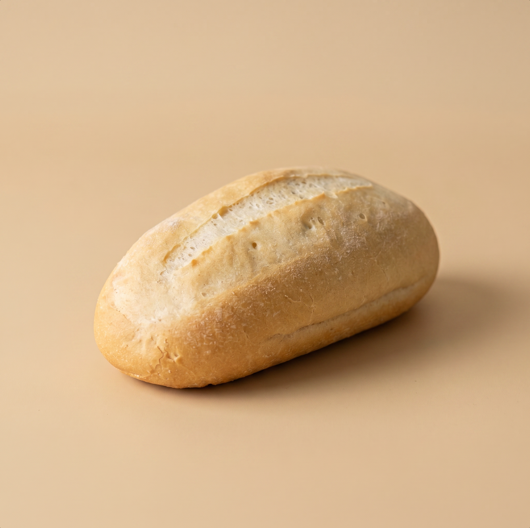 Panini